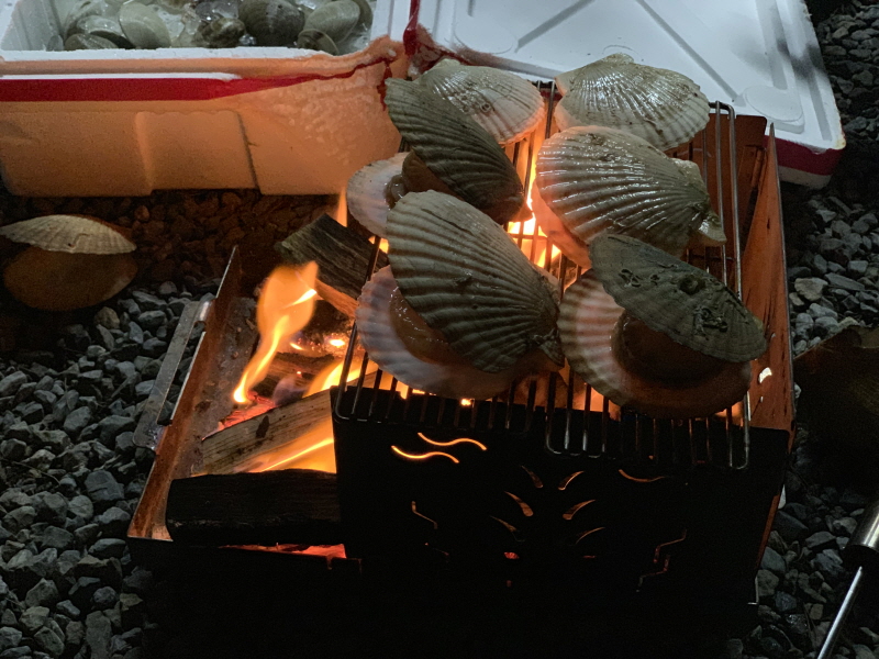 입벌린 조개