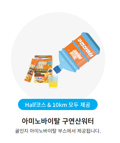 2024 서울하프마라톤 대회 정보 신청 코스 기념품 교통통제