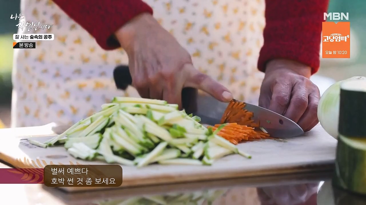 나는 자연인이다.E582.231130p-NEXT.mp4_20231130_200816.077.jpg