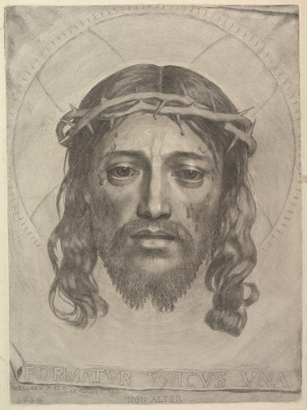 img.jpg