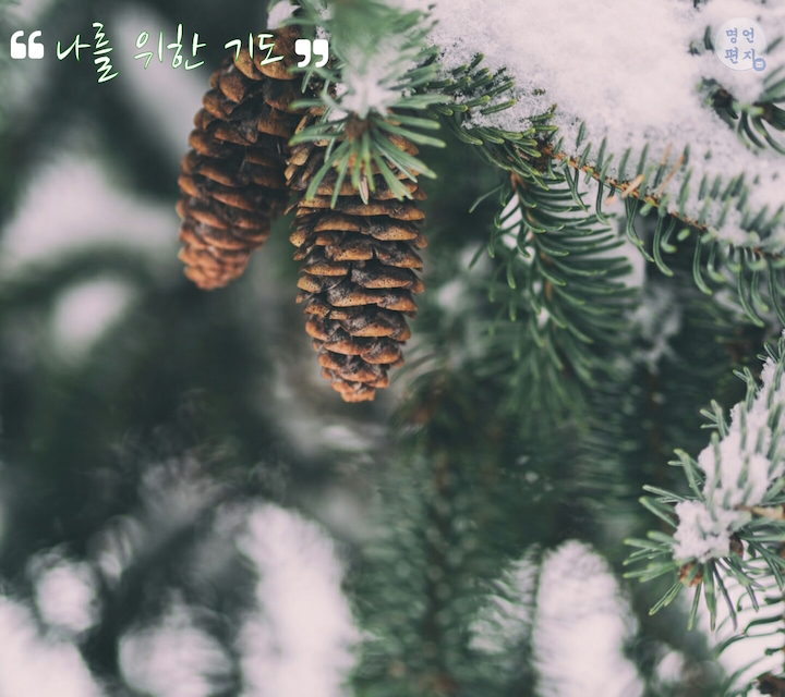 나를 위한 이미지