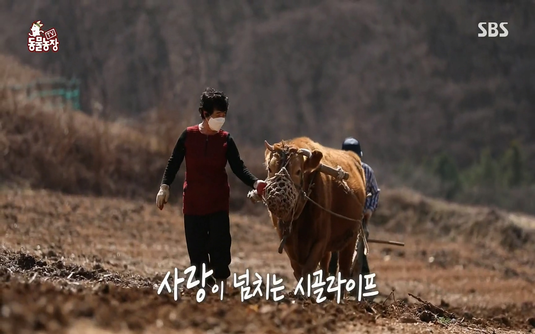TV 동물농장.E1067.220501p.H264-F1RST.mp4_20220501_183357.591.jpg