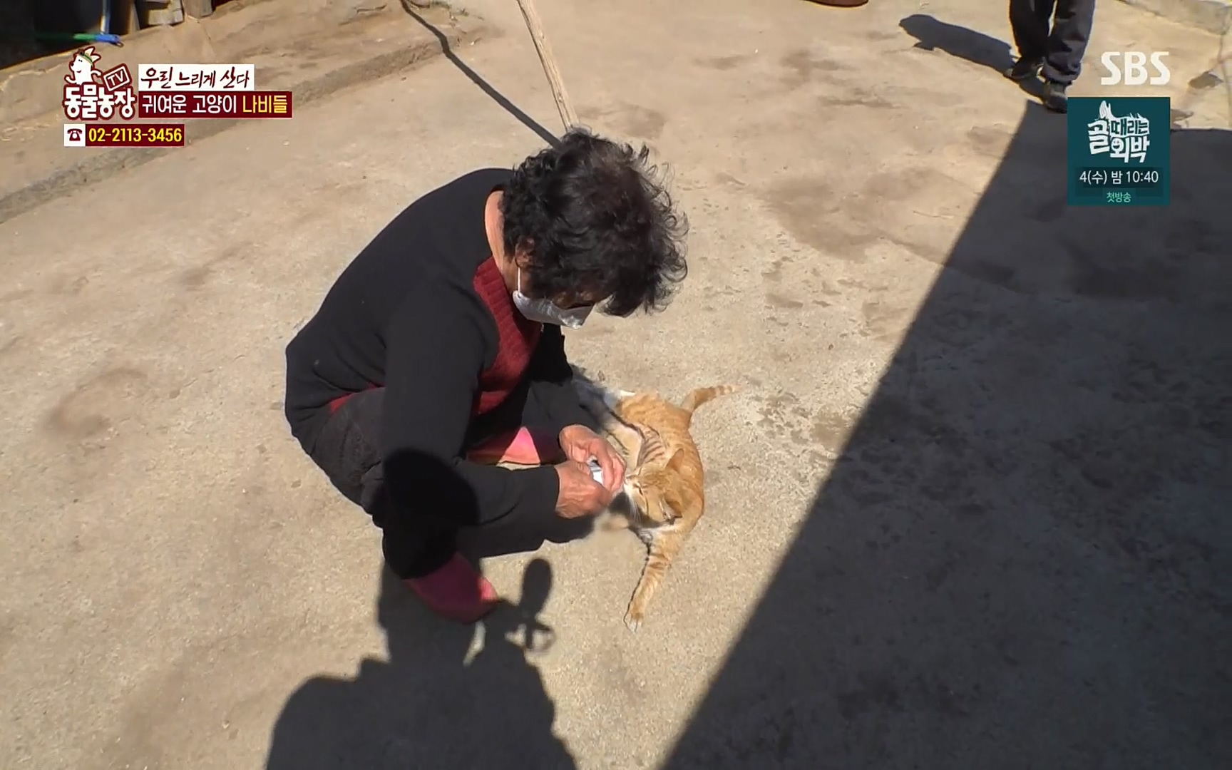 TV 동물농장.E1067.220501p.H264-F1RST.mp4_20220501_183755.806.jpg