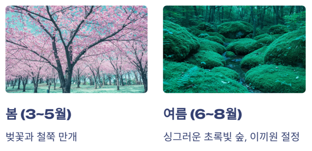 화담숲 계절별 볼거리