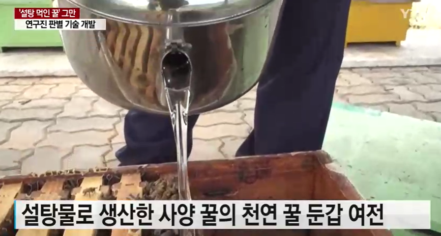 : 당뇨병의 경우 설탕 대신 꿀, 천연꿀과 사양꿀의 차이, 꿀효능 5