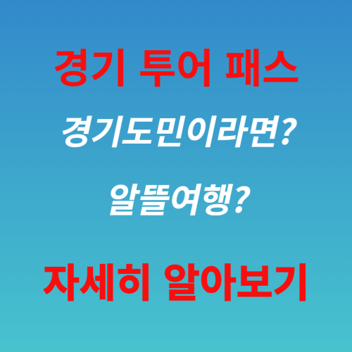 경기 투어 패스