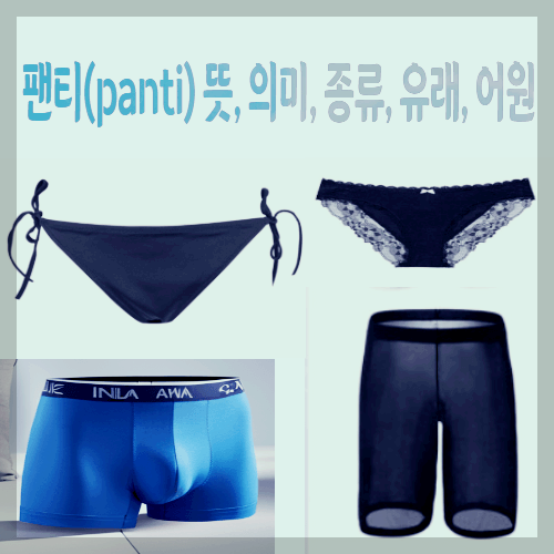 팬티(panti) 뜻&#44; 의미&#44; 종류&#44; 유래&#44; 어원