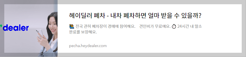 헤이딜러 폐차