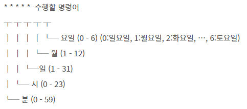 ML-개발환경/OS