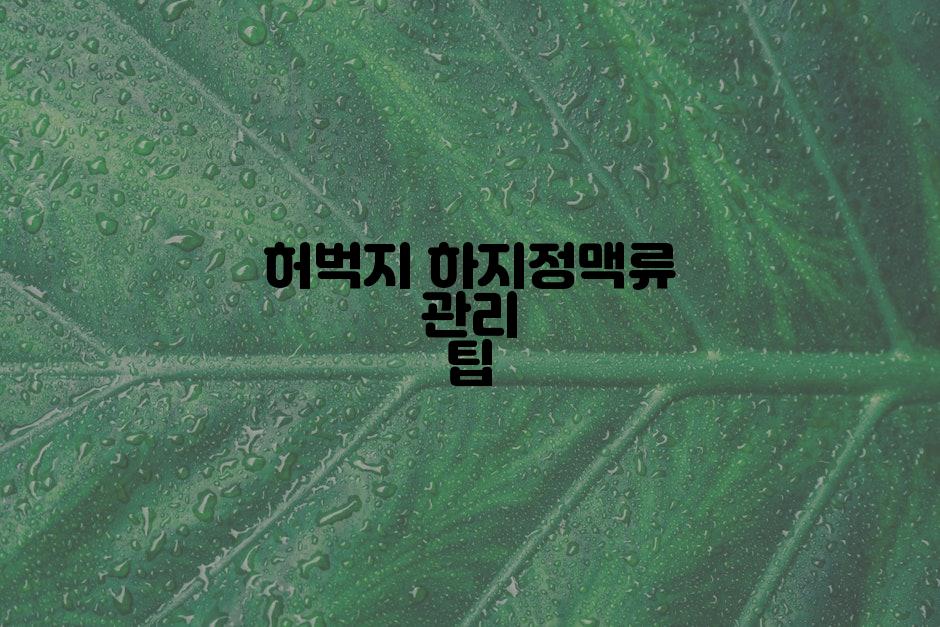 허벅지 하지정맥류 관리 팁
