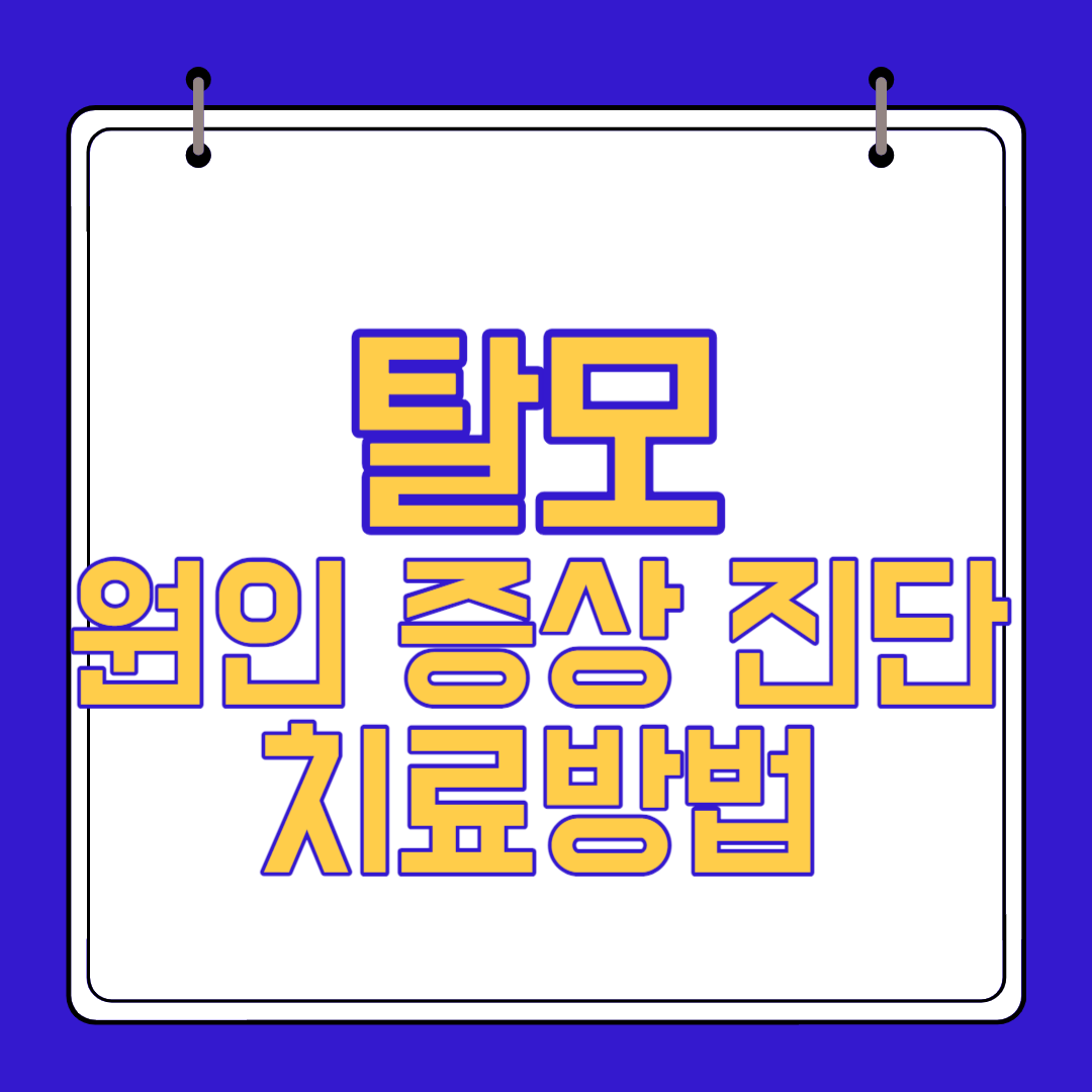  탈모 원인 증상 예방 치료 방법