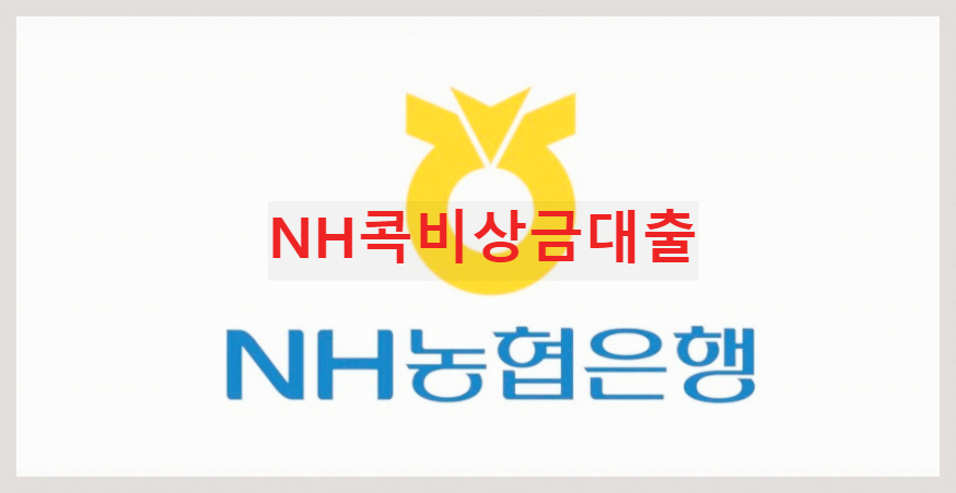  NH콕비상금대출 : 급할때 유용하게 빌려쓰는 비상금 대출상품
