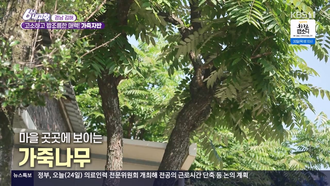 6시 내고향.E8057.240525p-NEXT.mp4_20240525_155339.795.jpg