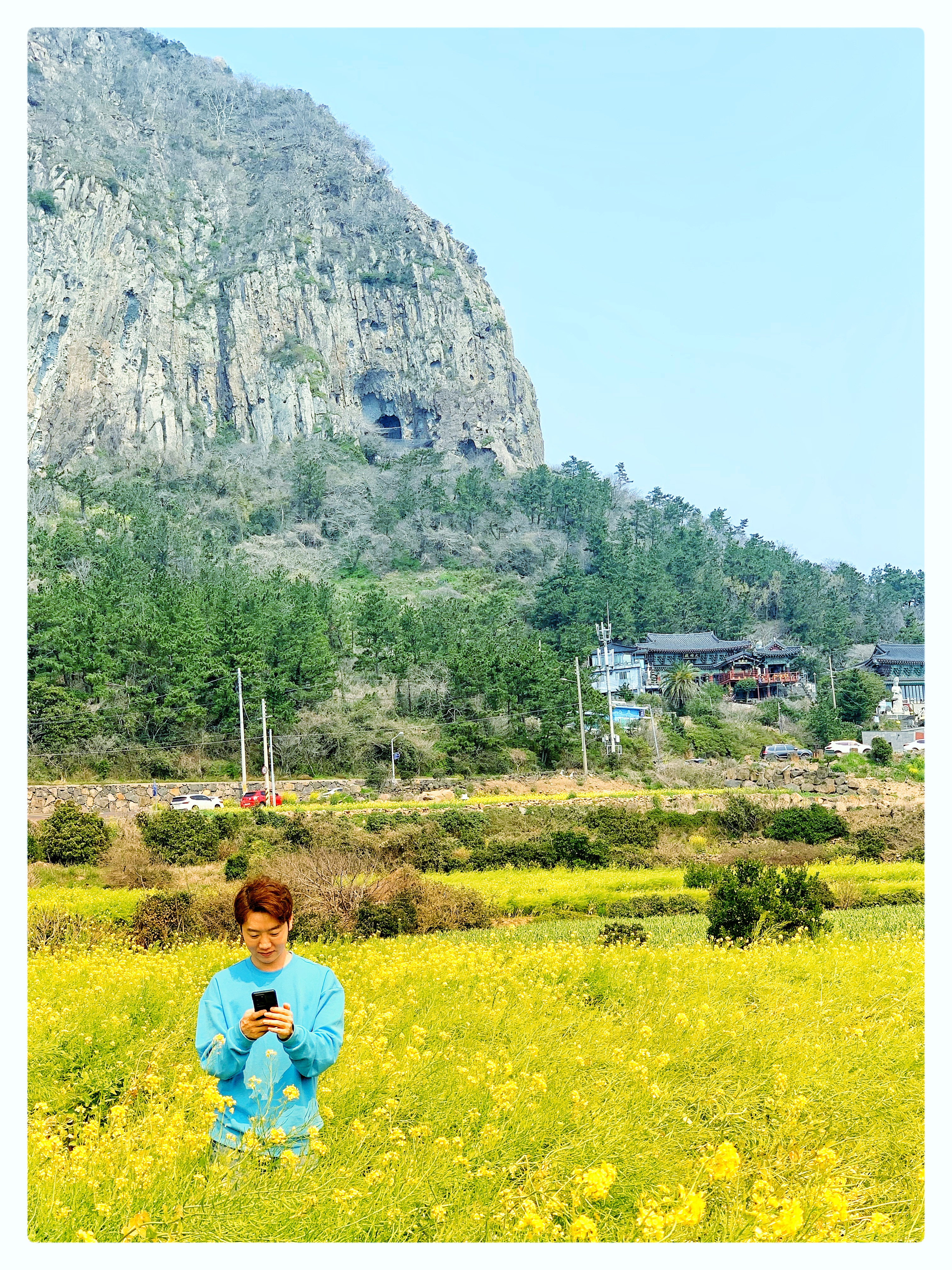  여행일기_제주여행 서귀포 산방산,유채꽃,멋진카페