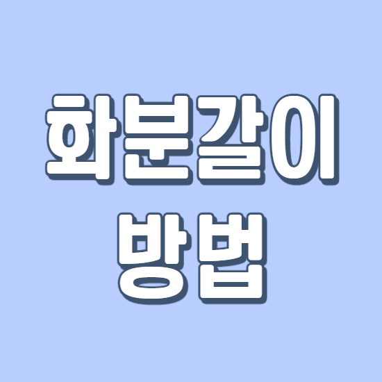  화분갈이 방법 및 시기 정리
