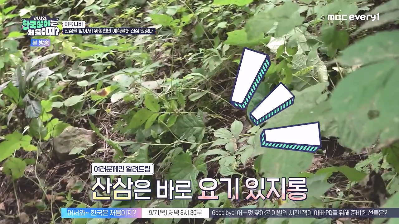 어서와 한국살이는 처음이지.E16.230905p-NEXT.mp4_20230906_203228.369.jpg