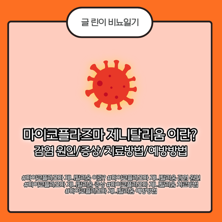  마이코플라즈마 제니탈리움 이란?? 감염 원인/증상/치료방법/예방방법