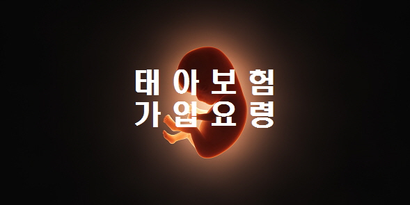  노다지네 잡학다식