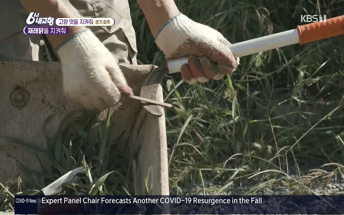 6시 내고향.E7618.220916p.H264-F1RST.mp4_20220920_204754.194.jpg
