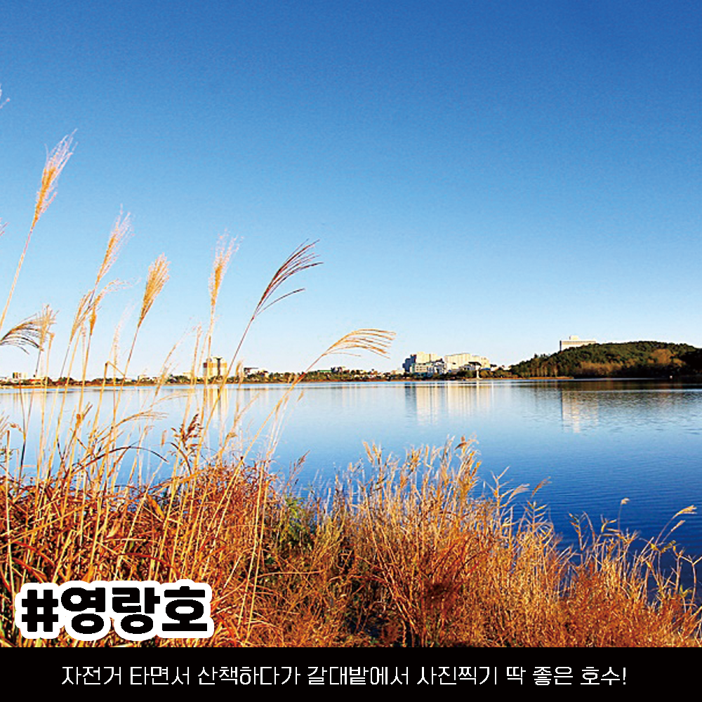 속초 가볼만한 곳, 속초여행 코스 정리 (+위치 핫플 가격)