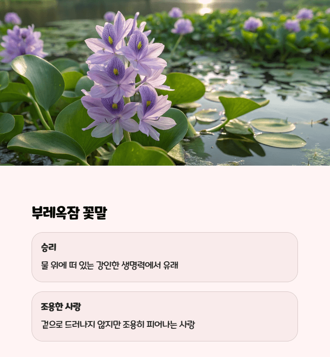 부레옥잠 꽃말
