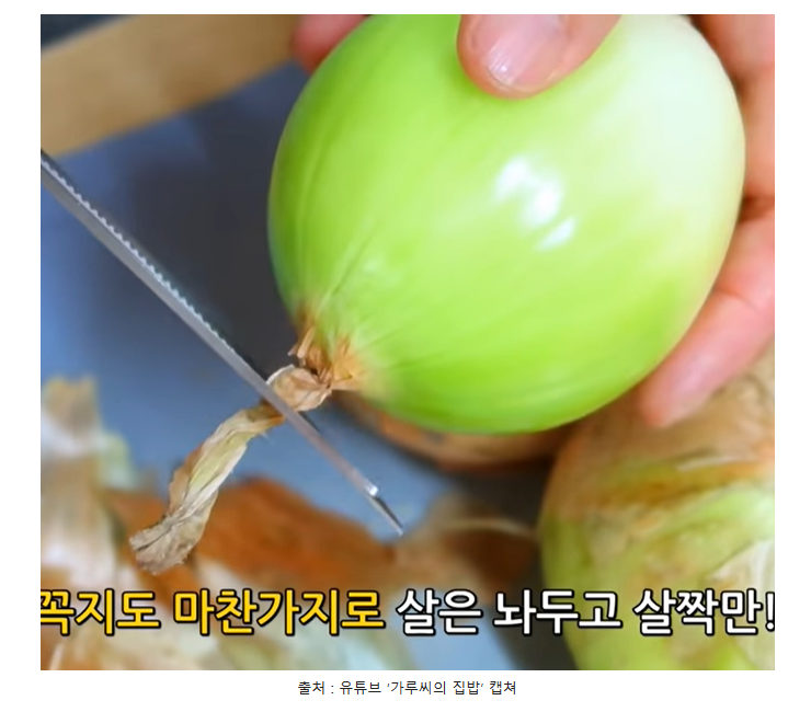 양파보관법