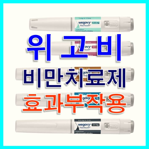  위고비 효과 부작용 유의사항 가격 알아보기