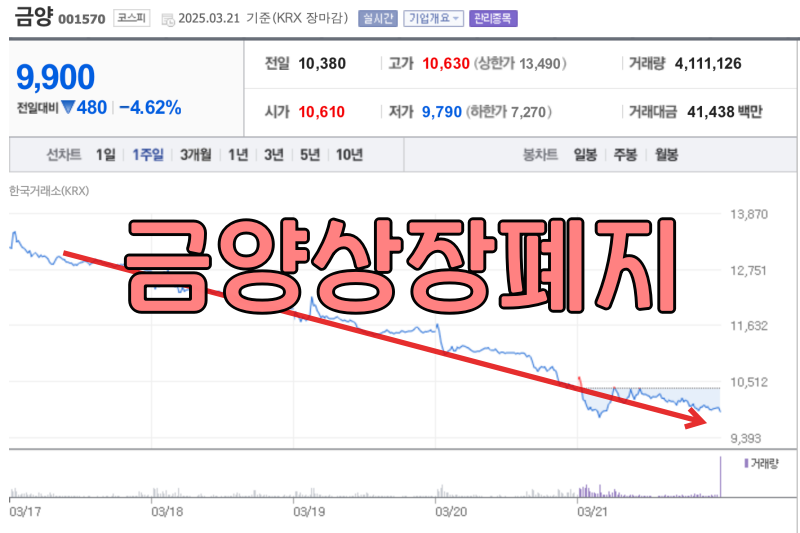 금양 주식 1주일 챠트