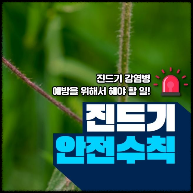 가을철 진드기 감염병 주의보: 예방 방법과 대처 요령