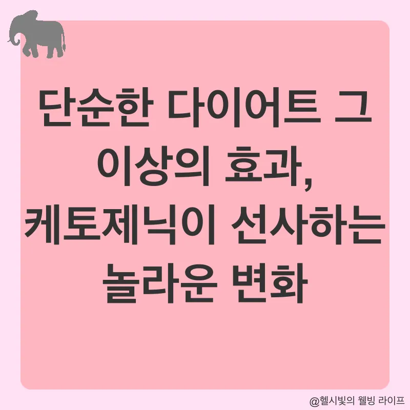 건강한 식단_3
