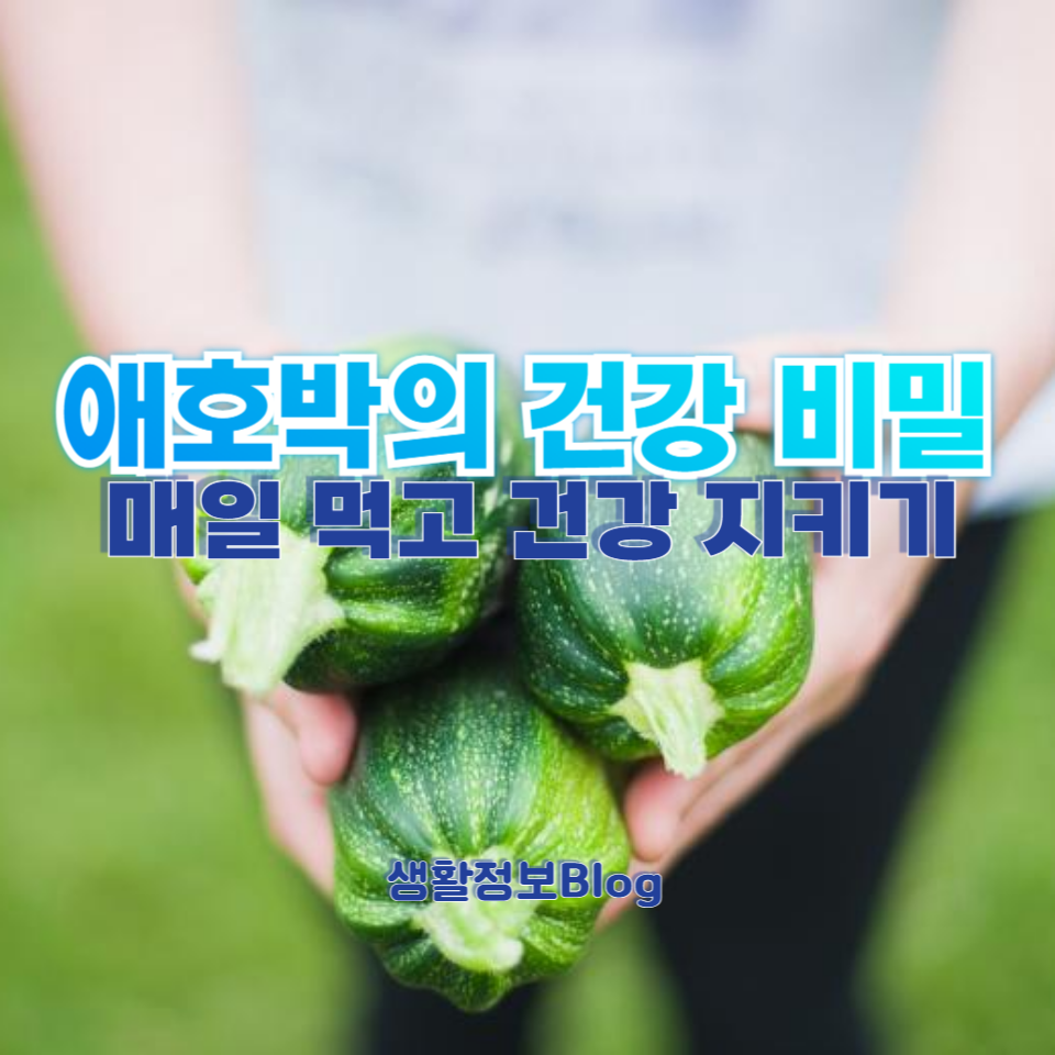 애호박의 다양한 건강 효능