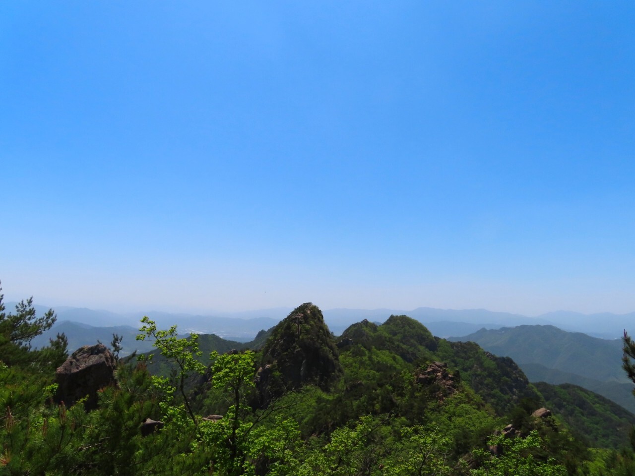 블랙야크 100+, Y출렁다리, 50