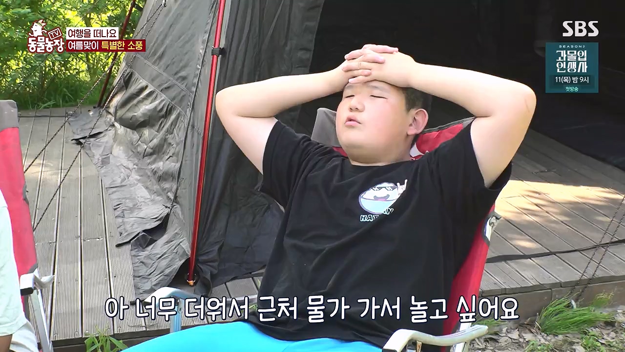 TV 동물농장.E1179.240708p-NEXT.mp4_20240707_160421.529.jpg