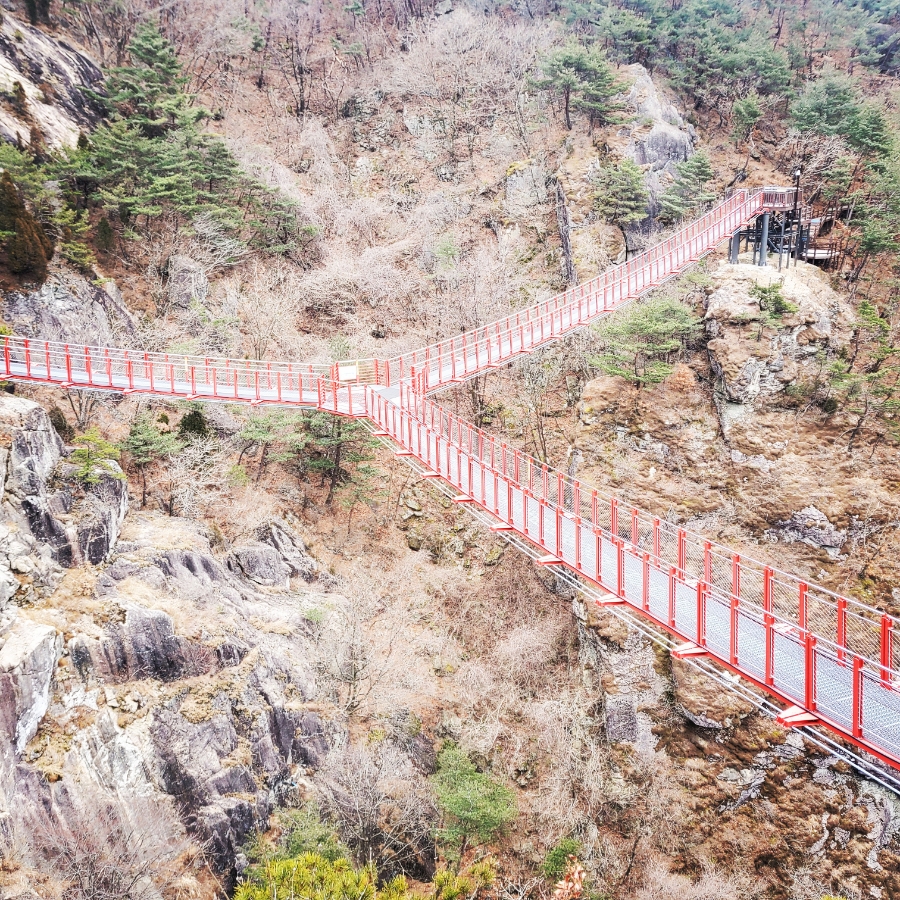 14일 & 보식총정리 14