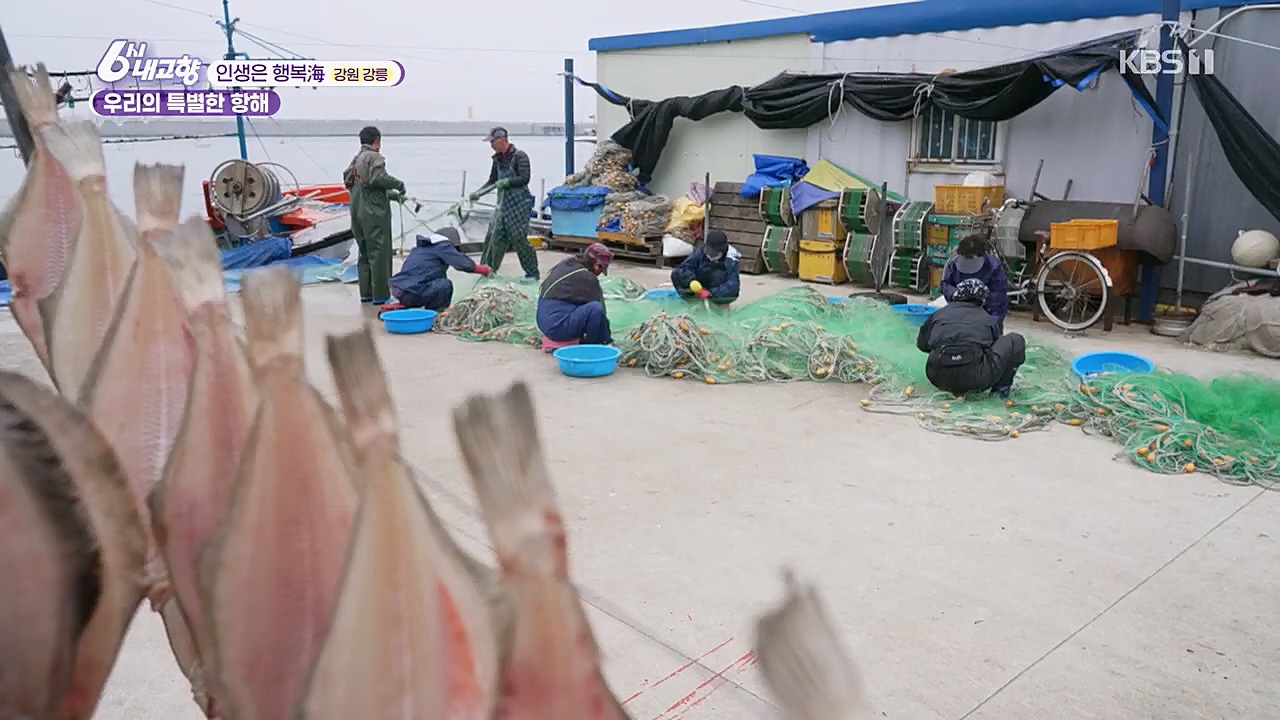 6시 내고향.E7748.230321p.H264-F1RST.mp4_20230321_202134.227.jpg
