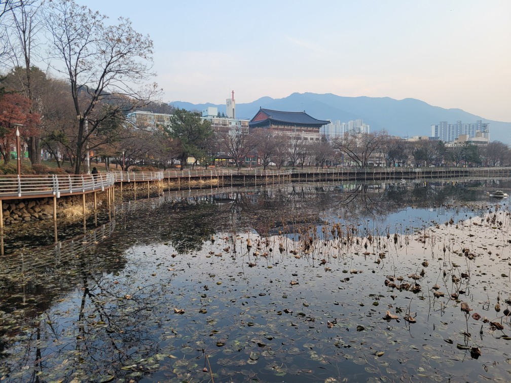 대구 여행 성당못