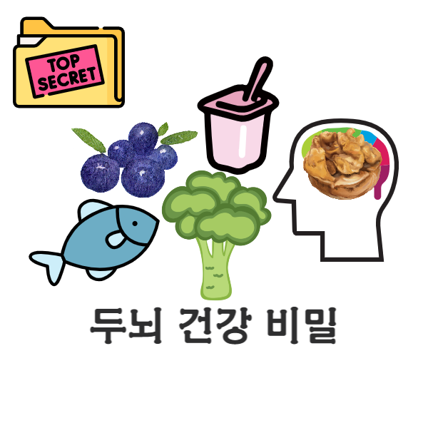 두뇌 건강&#44; 치매 예방&#44; 슈퍼푸드&#44; 호두&#44; 오메가-3 지방산&#44; 프로바이오틱스&#44; 블루베리&#44; 항산화제&#44; 잎이 많은 녹색 채소&#44; 등푸른 생선&#44; 등푸른 생선