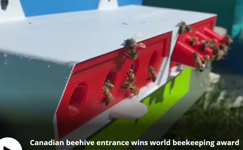 ProtectaBEE Innovating Beehive Protection and Conservation