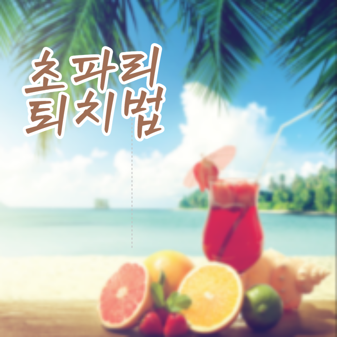  초파리 퇴치법