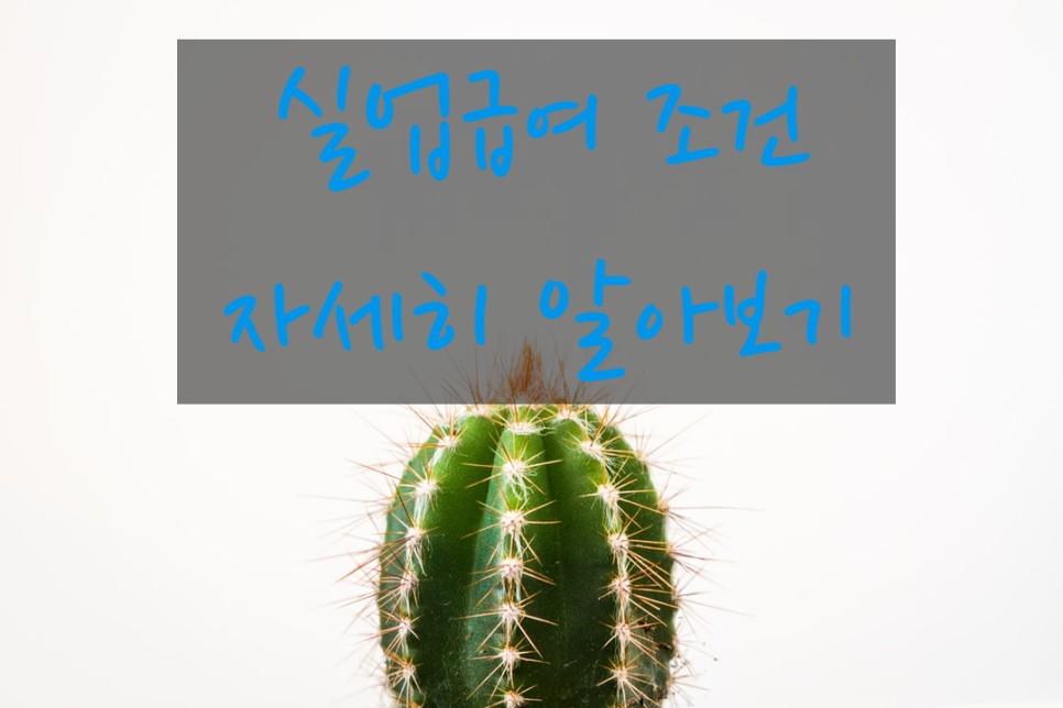  실업급여를 받을 수 있는 조건은!!