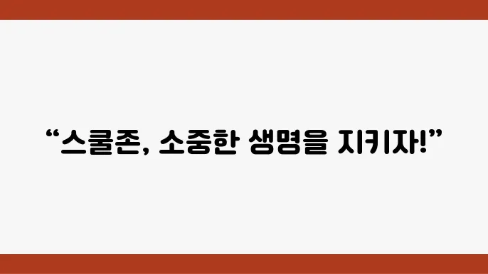스쿨존 어린이 본호쫖역 속도위반 신호위반 조회, 벌금 기준 정리