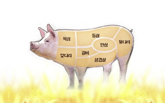 돼지-고기-부위별-특징