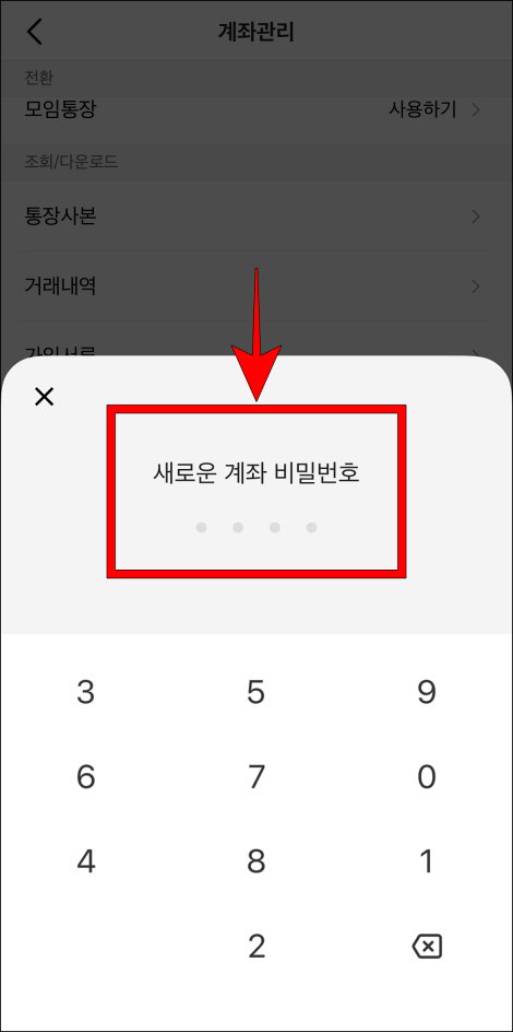새로운 계좌 비밀번호를 입력