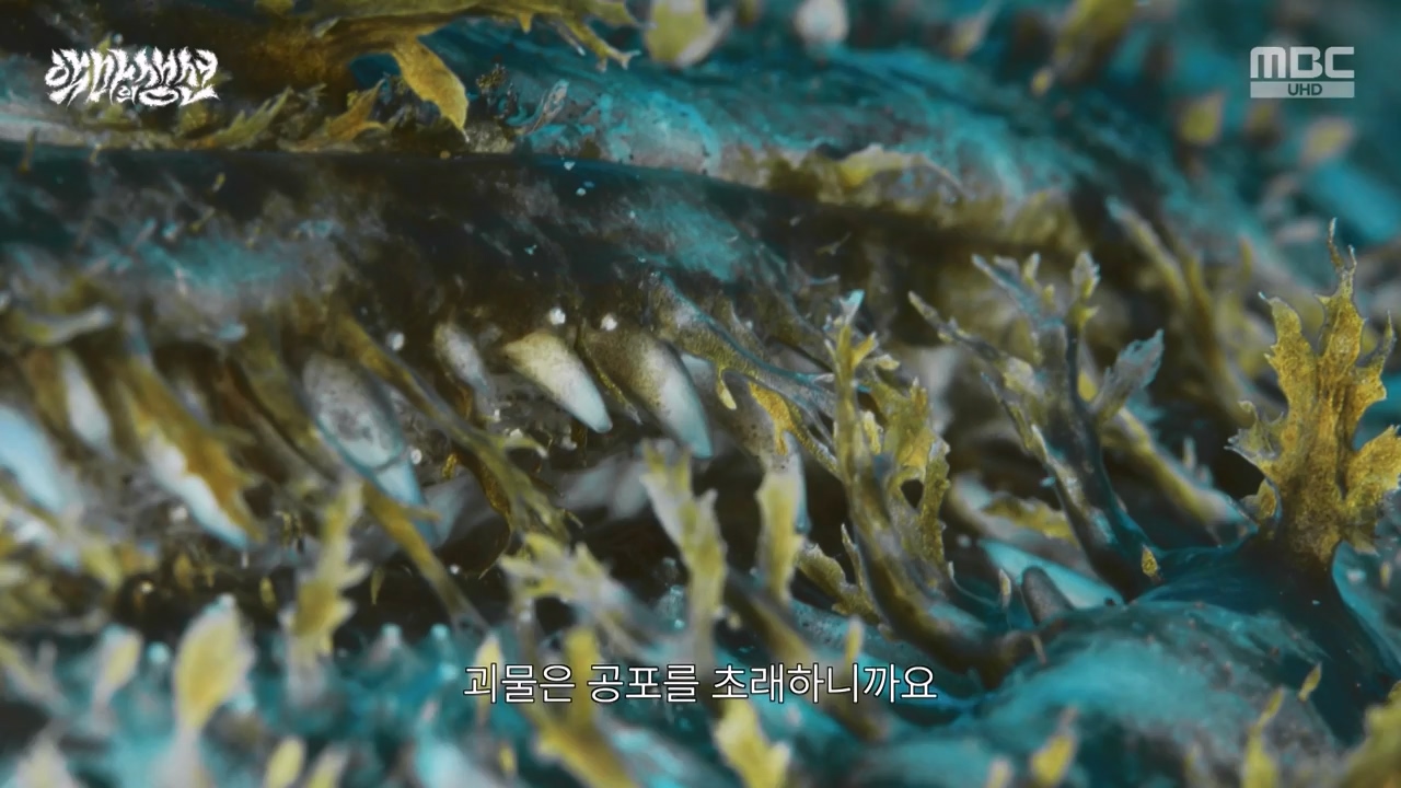 MBC 네트워크특선.E1670.240403p-NEXT.mp4_20240403_205611.571.jpg