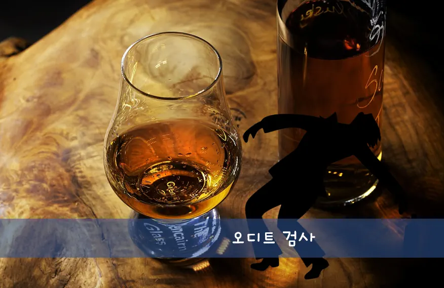  오디트 검사 어디서? 점수 알콜 중독 구분 (외국 원조 테스트 링크 포함)