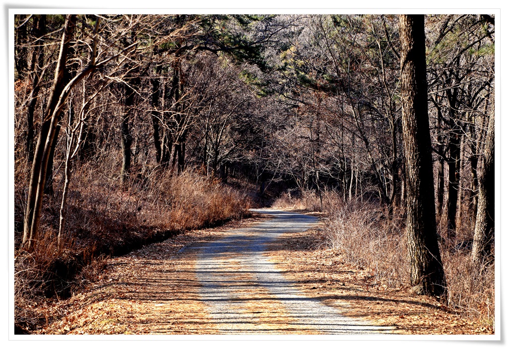 대암산, 용지봉 28