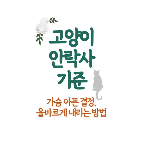 고양이 안락사 기준