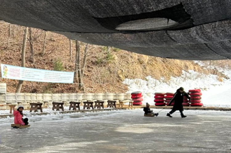 양주 눈꽃축제 눈썰매장