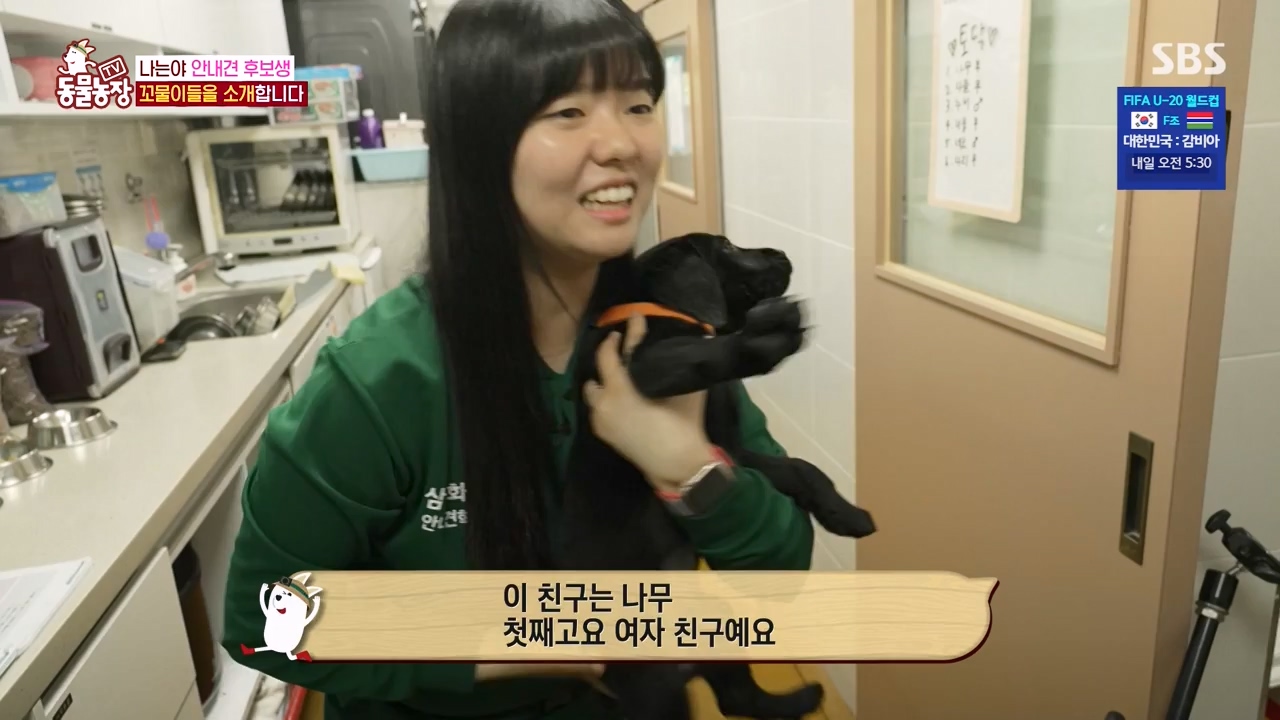 TV 동물농장.E1122.230529p-NEXT.mp4_20230528_170253.645.jpg
