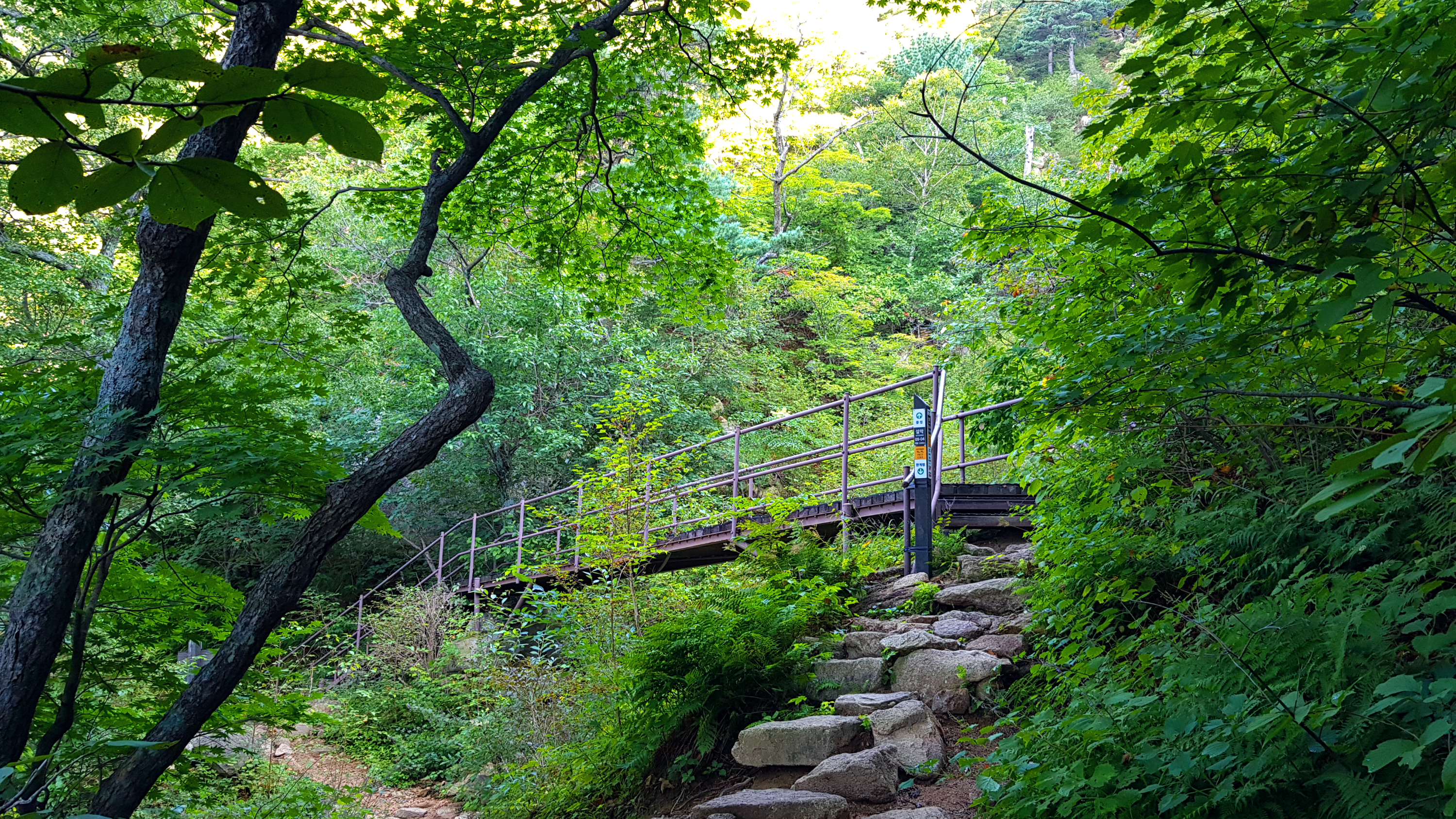 강원 인제 여행 설악산 등산 mountain hiking